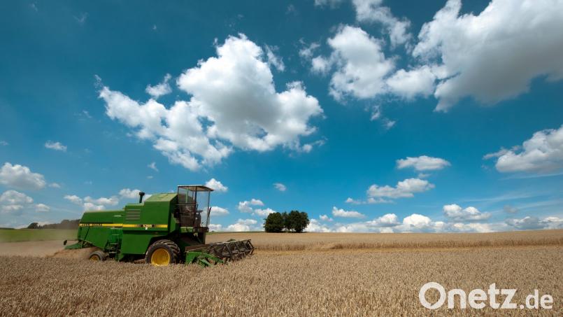 Ein Mähdrescher erntet ein bayerisches Weizenfeld ab. Die Grünen wollen die Bauern und Äcker nun vor Investoren beschützen. Symbolbild: Armin Weigel