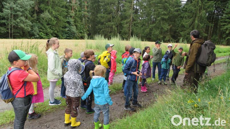 Andreas Greiner bringt auch in diesem Jahr den Kindern Tiere und Pflanzen im Wald näher. Archivbild: adj