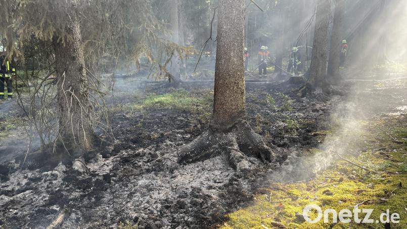 Zwischen Mendorferbuch und Ödgötzendorf hat es an der Kreisstraße AS 2 im Wald gebrannt. Bild: Polizei Amberg