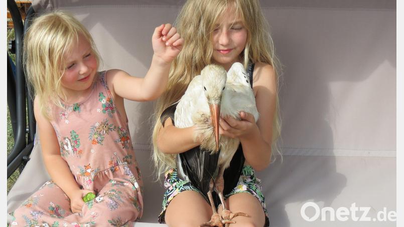 Als ob es ein Huhn wäre: Maja (links) und Mathilda (rechts) herzen das neue Familienmitglied. Bild: Köppl/exb