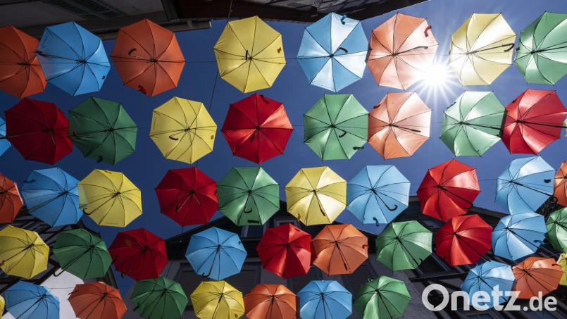 Die kommenden Tage werden heiß. Schattige Plätze sind begehrt. Bild: Boris Roessler