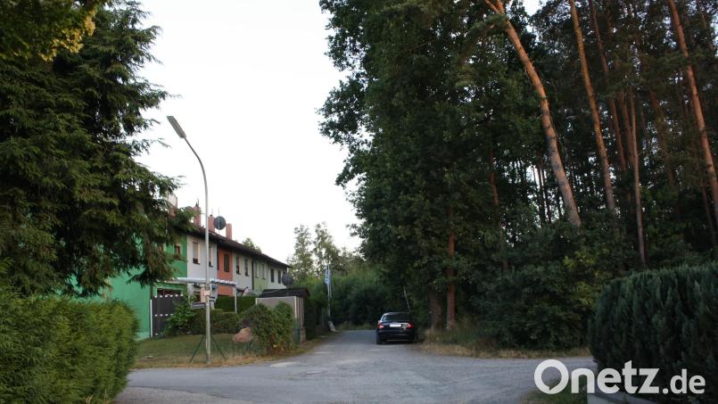 Erst nach eingehender Beratung und unter Vorbehalt gab der Schwarzenbacher Gemeinderat das gemeindliche Einvernehmen für eine Bauvoranfrage, die ein Bauvorhaben auf einem Waldgrundstück am Weidenweg (Hintergrund rechts) betrifft. Bild: bjp