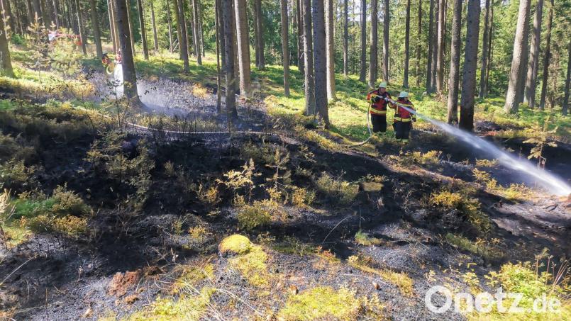 In Grünberg bei Brand hat es in einem Wald gebrannt. Bild: Feuerwehr Kemnath/exb