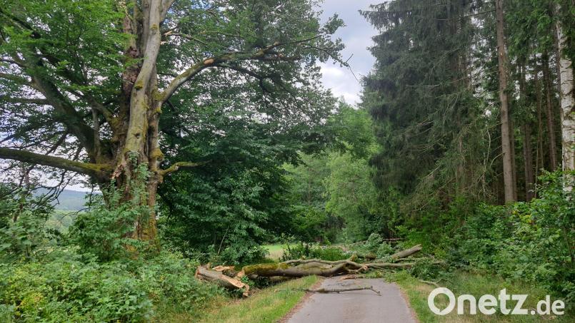 Dicke Äste und Stammteile liegen auf dem Nigerlweg, der gerne auch von Wanderern und Radfahrern genutzt wird. Ein abgebrochener Stamm, noch gesichert an einem Stahlseil, hängt senkrecht herunter. Bild: Klaus Meyer/exb