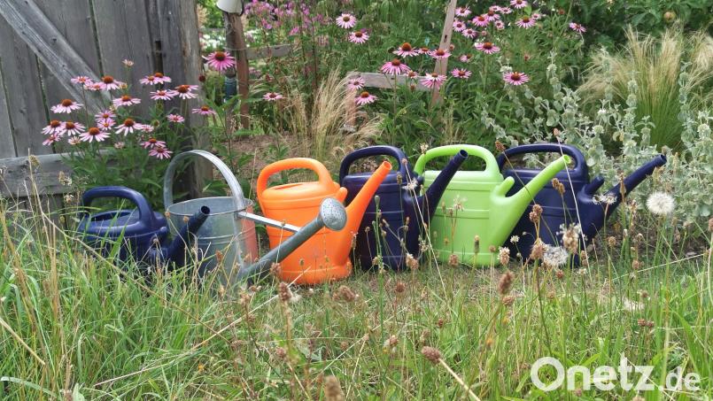 Für Gartenbesitzer sind die Gießkannen derzeit das wichtigste Utensil. Wenn es länger nicht regnet, machen viele Pflanzen schlapp. Tipps, wie Gießen richtig geht, hat Kreisfachberater Harald Schlöger parat. Bild: ptr