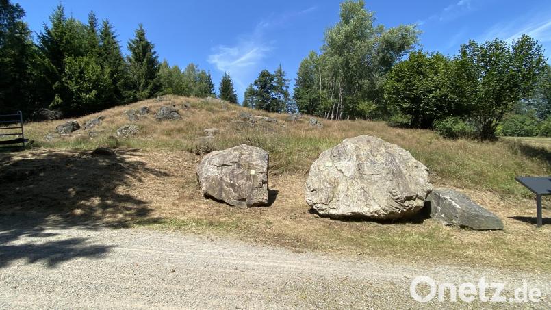 Die Weidefläche befindet sich beim &quot;Geologischen Lehrpfad&quot;. Bild: Josef Glas