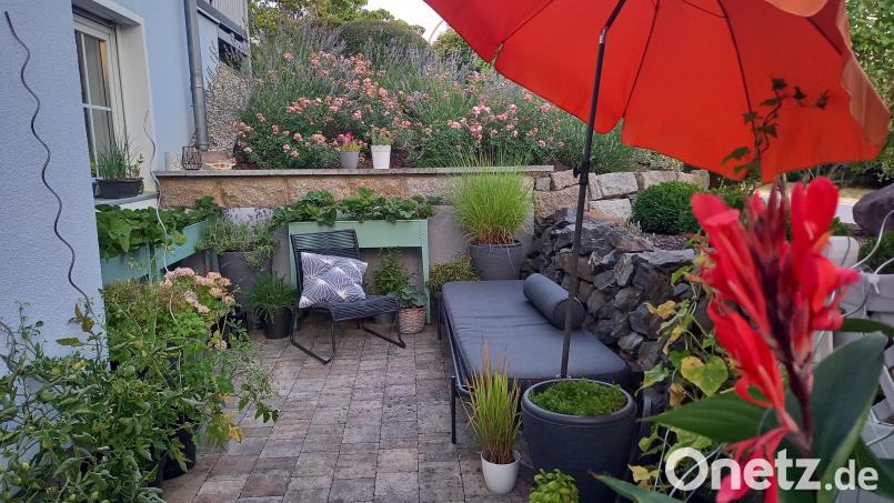 Unabsichtlich einen kleinen Urwald hat sich Kolumnistin Lena Schule auf ihrer Terrasse gezüchtet. So viel Gemüse, Blumen und Kräuter bevölkern die 20 Quadratmeter, dass fast kein Platz mehr für Menschen zum Sitzen besteht. Bild: szl