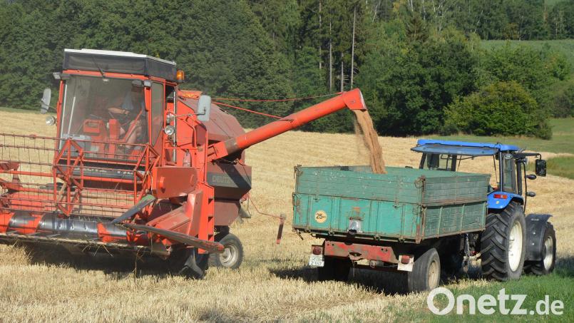 Erntearbeiten im Landkreis Tirschenreuth bei Großbüchlberg. Bild: jr