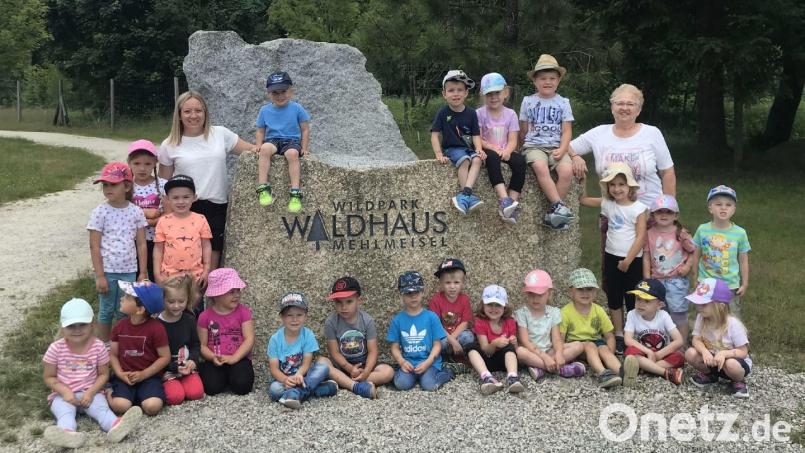 Nach dem Besuch des Waldhauses (Bild) ging es mit den Betreuerinnen Alessa Friedrich (links) und Edeltraud Haberkorn (rechts) in den Mehlmeiseler Wildpark. Bild: rpp