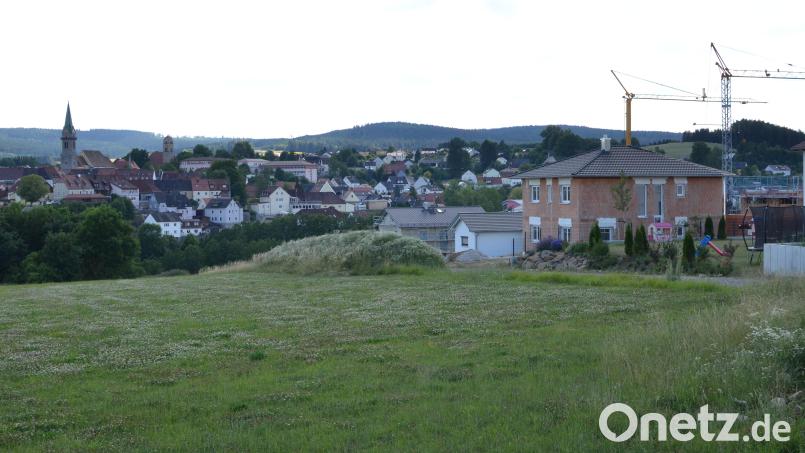 Direkt im Anschluss an das Baugebiet &quot;Naabhöhe I&quot; will die Stadt Erbendorf das Baugebiet &quot;Naabhöhe II&quot; ausweisen. Nun wurden Änderungen am Bebauungsplan vorgenommen, mit denen sich die Mehrheit im Stadtrat nicht einverstanden zeigte. Bild: Benkhardt