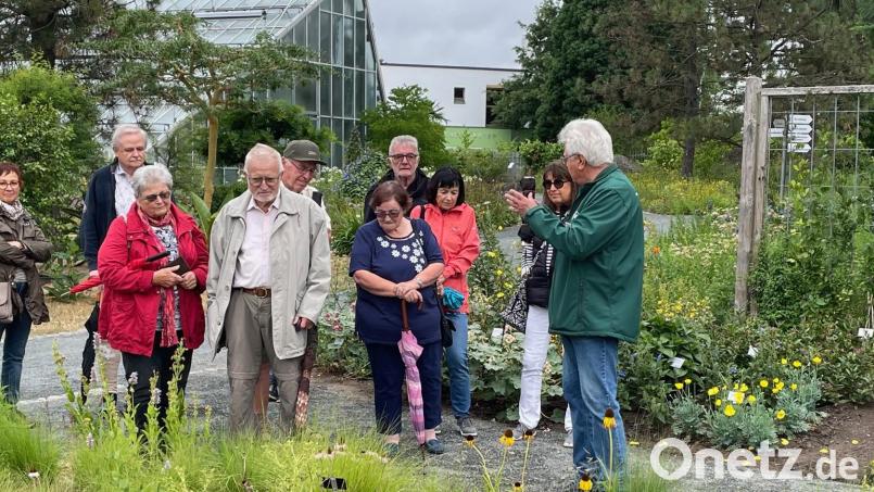 Sehr beeindruckt waren die Lehrer und Lehrerinnen des Kreisverbandes Kemnath vom Ökologisch-Botanischen Garten Bayreuth. Bild: jzk