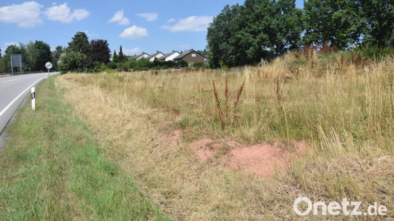 Links die Bundesstraße, sechs Meter daneben eine hohe Lärmshutzwand und dahinter acht Einfamilien- und zwei Zweifamilienhäuser. Bis zu den Bäumen hin verbleibt ein recht kleines Areal. Bild: fz