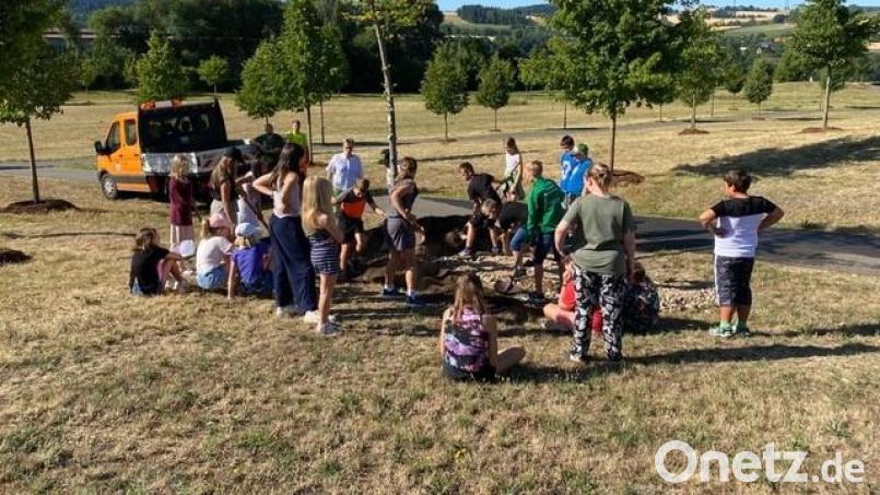 Im Bürgerpark pflanzten die Viertklässler einen Baum. Bild: Grundschule Krummennaab/exb