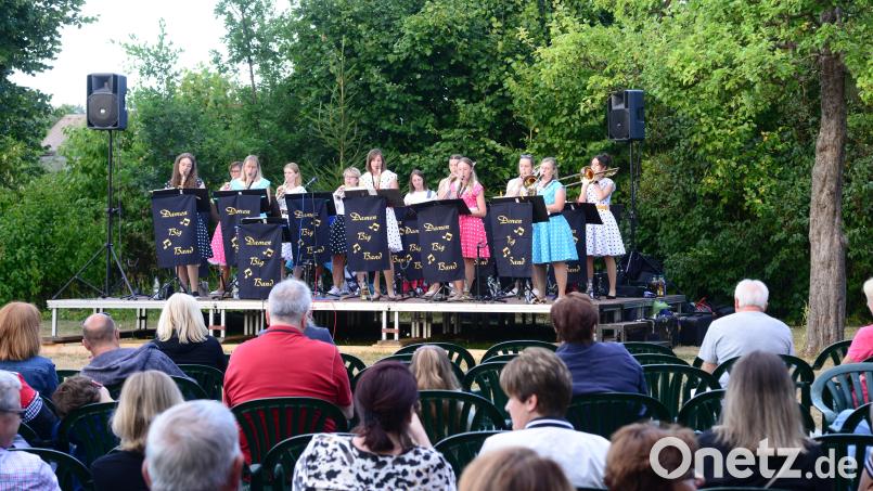 Die Waidhauser Damen-Big-Band tritt bei der letzten Serenade dieses Jahres in Windischeschenbach auf. Bild: bey