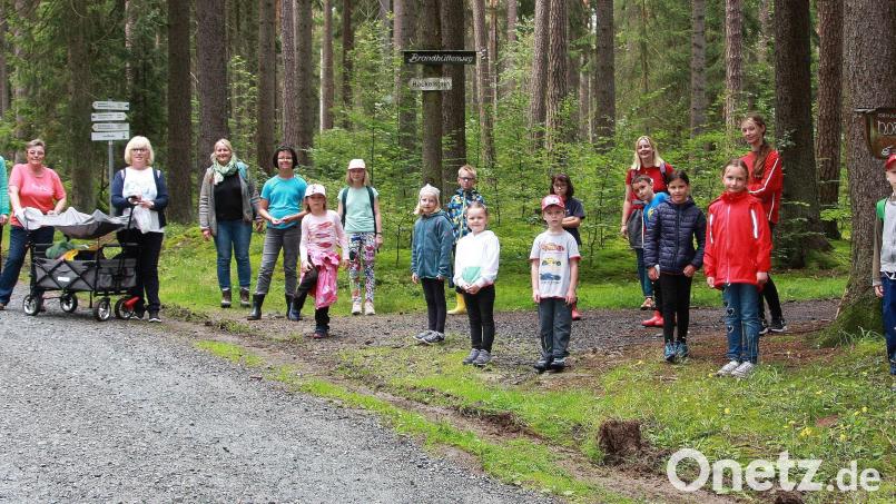 Die Schnitzeljagd durch den Steinwald wird in diesem Jahr wiederholt. Sollte es regnen, fällt der Ausflug ins Wasser. Archivbild: wro