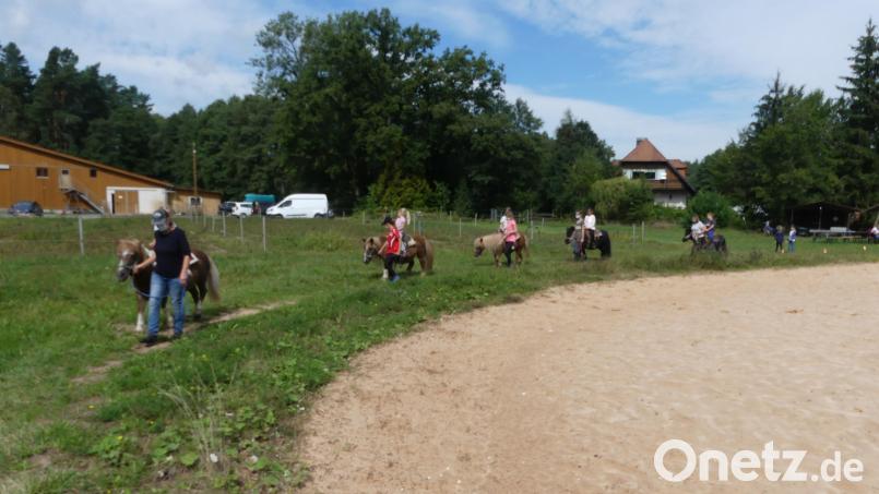 Pony-Reiten an der Hammermühle ist für Kinder stets ein Erlebnis. Bild: rn