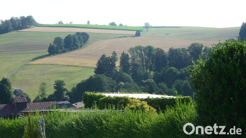 Von der Augustinerstraße aus ist die geplante Fläche für die Errichtung der Freiflächenphotovoltaikanlage klar zu sehen. Die Grünfläche in der linken unteren Hälfe des Bildes und die nach oben ansteigende Ackerlfäche bis zur kleinen Baumgruppe entlang des alten Feldweges nach Miesbrunn soll für die Freiflächenanlage genutzt werden. Dazu noch Flächen, die sich oberhalb des Waldes (rechte Bildhälfte) befinden. Bild: bey