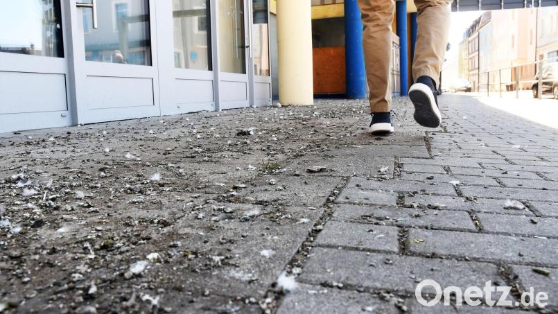 Taubenkot vor dem Josefshaus: Schön ist ist das sicher nicht - aber auch gesundheitsgefährdend? Bild: Gabi Schönberger