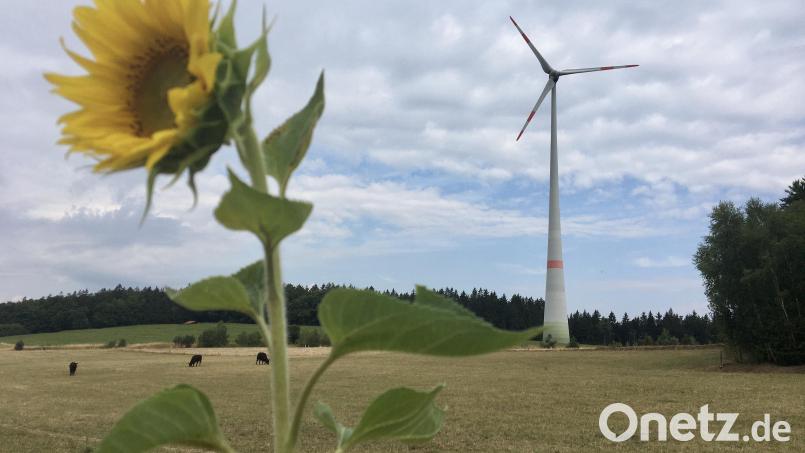 Eine der beiden Bürger-Windkraftanlagen in Witzlricht. Die Räder drehen sich gut und werfen für die mehr als 200 Genossenschafter Gewinn ab. Bild: gri