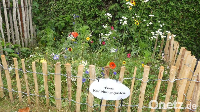 Beim Blumenschmuckwettbewerb mit dabei: Lisas Wildblumengarten. Bild: rn