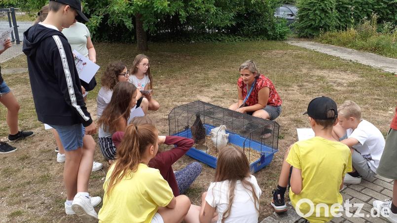 "Achtsamkeit auch gegenüber Tieren", lautete eine Forderung am Tag der Achtsamkeit in der Realschule Kemnath. Bild: jzk