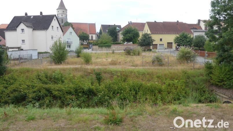 Immer grüner wird seit Jahren die für ein neues Pfarrheim von der Kirchenverwaltung erworbene Fläche an der Wassergasse. Unter die heimisch geworden Stauden mischt sich bereits Sommerflieder. Bild: rn