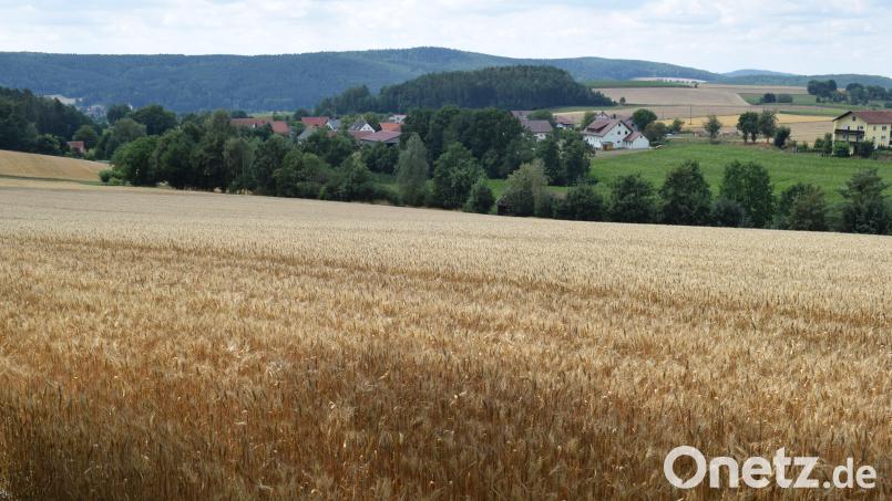 Die Felder nördlich und südlich von Trossau erwecken das Interesse von Investoren für die Errichtung von PV-Freiflächenanlagen. Eine Entscheidung ist bisher noch nicht gefallen. Bild: bnr