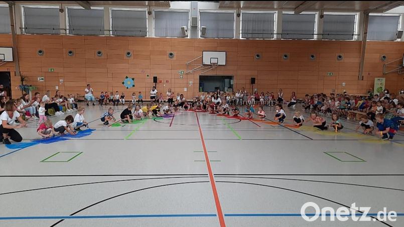 Viel geboten war beim Sommerfest des Städtischen Kindergartens in der Auerbacher Turnhalle. Bild: jma