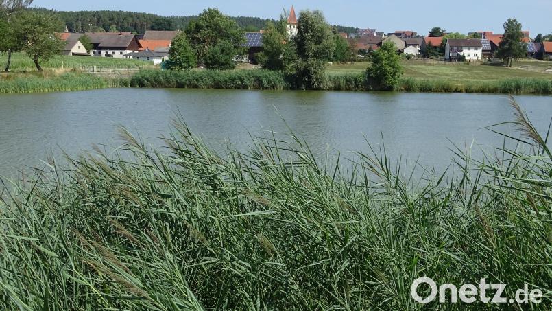Im Konzept einer dem Städtebauförderungsprogramm entsprechenden Neuorientierung könnte auch der Weiher am südlichen Dorfrand von Dürnsricht eine Rolle spielen. Bild: Houschka