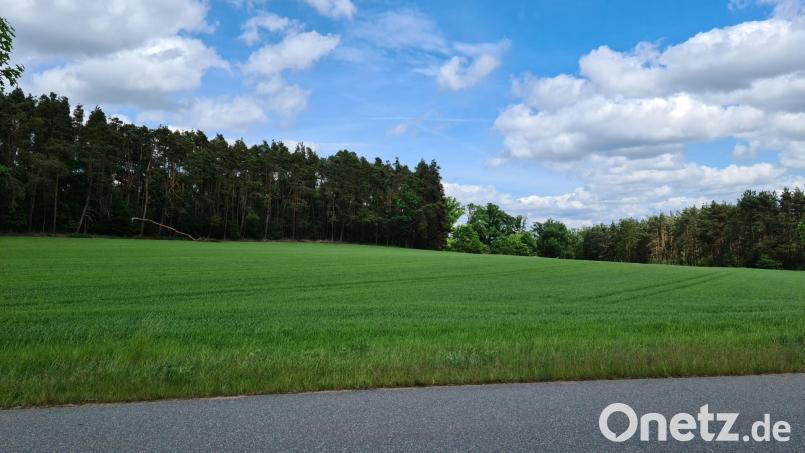 Bei hunderten von Baulücken in Grafenwöhr fordert die Regierung der Oberpfalz einen Nachweis, dass die Ausweisung neuer Baugebiete wie hier an der Steinfelser Straße in Hütten notwendig ist. Bild: sne