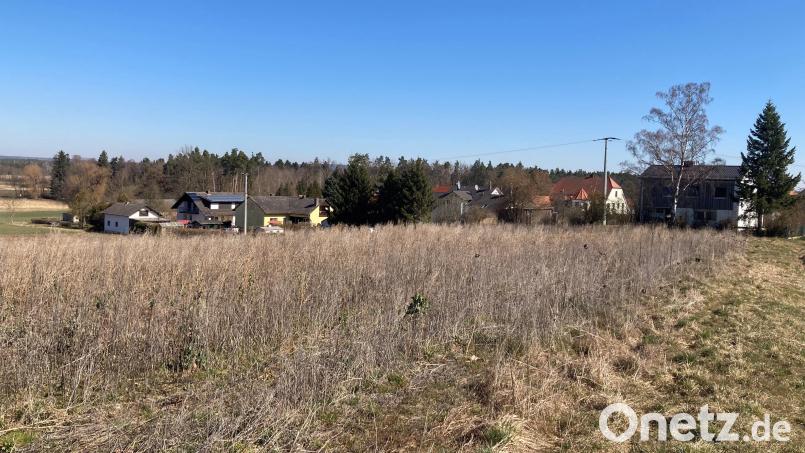 Am Ortsende von Sorghof entsteht auf einer Fläche von 2,3 Hektar ein neues Baugebiet mit 20 Parzellen. Bild: e