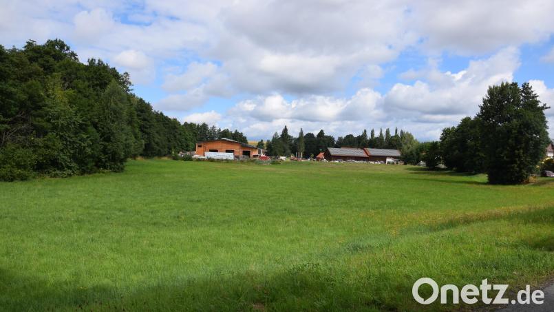 Die &quot;Zerstörung eines Naherholungsgebietes&quot; befürchten Anwohner weiterhin, wenn die Firma Holzbau Riedl eine weitere Firmenhalle (links, hinter der bestehenden Halle) baut. Bild: fla
