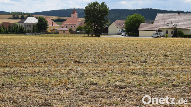 Nach Abschluss des Genehmigungsverfahrens kann mit der Erschließung des Baugebietes &quot;Vogelherd&quot; in Hohentreswitz begonnen werden. Bild: bnr