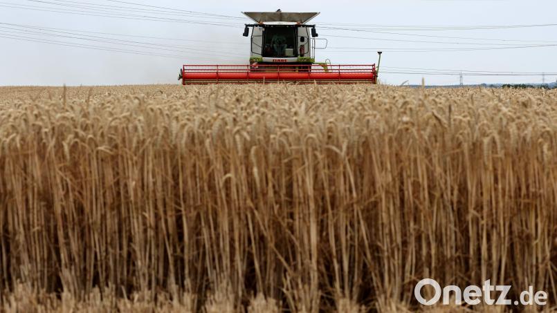 In einem Getreidefeld bei Ensdorf wurden Steine und weiterer Unrat entsorgt, was einen Mähdrescher erheblich beschädigen hätte können. Symbolbild: Bernd Wüstneck/dpa