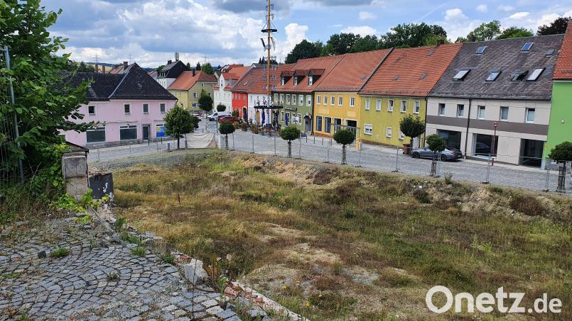 Inzwischen wächst auf dem Gelände mitten in der Stadt allerlei Grünzeug. Die Pläne für den Bau eines neuen Hotels sind zwar immer noch aktuell, doch wann genau sie umgesetzt werden können, steht nicht fest. Bild: Lowak