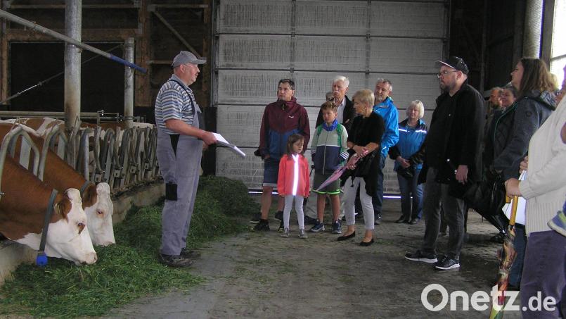 Hofbesitzer Bernhard Miedl (links) informierte die interessierten Gäste der Katholischen Arbeiternehmerbewegung Neusorg im Laufstall über die moderne Landwirtschaft. Bild: öt