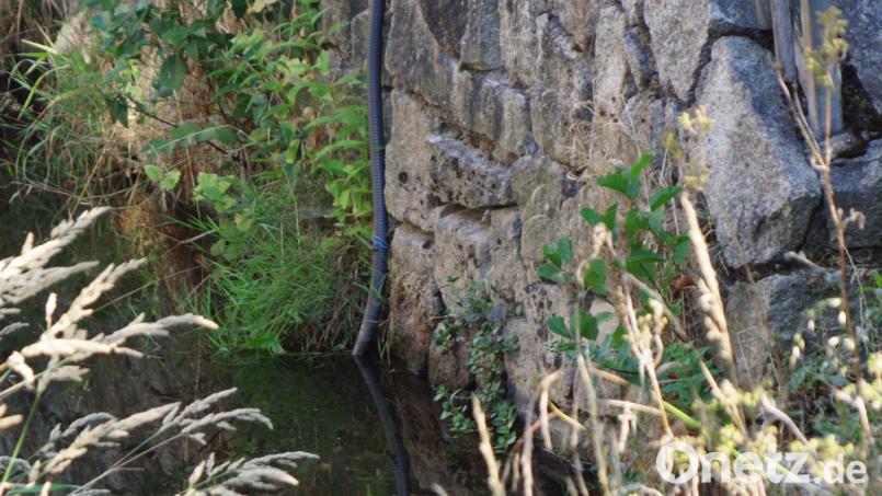 An vielen Stellen entlang der Bäche sind Wasserschläuche oder Tauchpumpen zur Entnahme von Wasser zu erkennen. Ohne behördliche Zustimmung ist dies nicht erlaubt. Bild: bkr