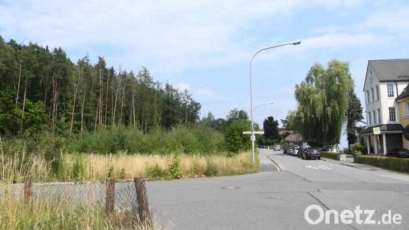 Die Grünfläche links ist das Baugebiet &quot;Horbach&quot;. Ein Grundeigentümer der aus dieser Perspektive rechts vorbeiführenden Etzenrichter Straße, will die Pläne dafür juristisch zu Fall bringen. Bild: Gabi Schönberger