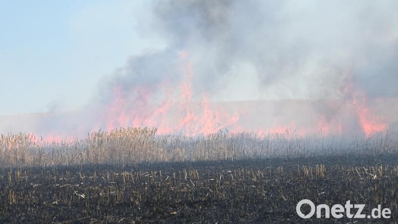 Auch in Poppenricht brannte ein Feld. Bild: gf