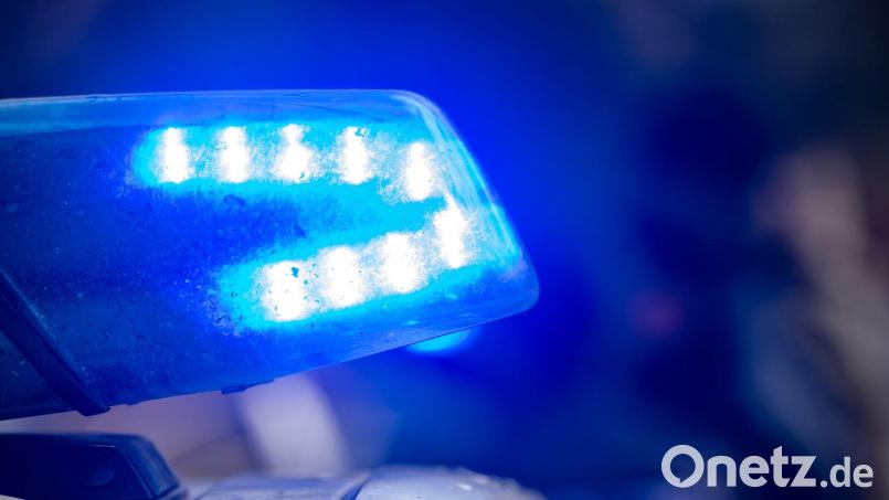 In Marktredwitz hat ein Betrunkener einen Hund gewürgt und geschlagen. Symbolbild: Stefan Sauer/dpa