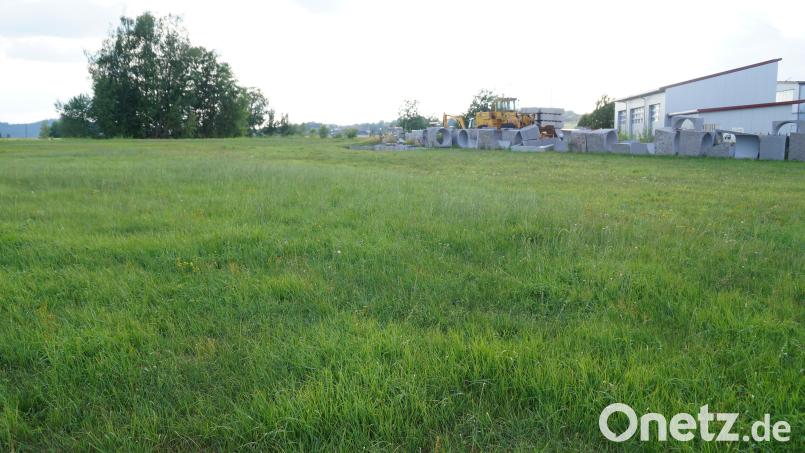 Das Gelände neben dem Granitwerk Krähhof soll als Sondergebiet für eine Freiflächen- Photovoltaikanlage ausgewiesen werden. Bild: wel