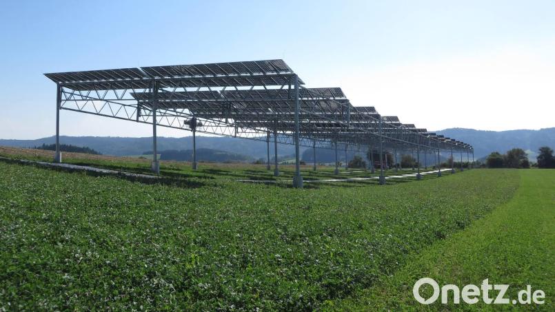 Diese aufgeständerten Photovoltaik-Anlagen stehen über einer landwirtschaftlichen Fläche am Bodensee. Bild: Fraunhofer ISE/exb