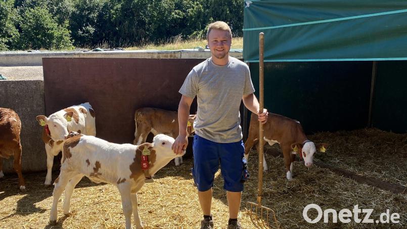 Johannes Nickl aus Trabitz hat die Ausbildung zum Landwirt mit großem Erfolg absolviert. Bild: Nickl/exb