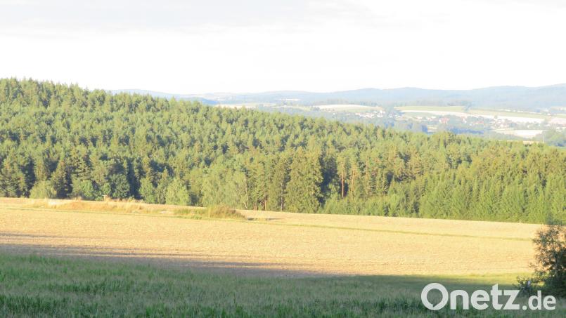 Im Anschluss an den Wald (rechts) soll eine Freiflächen-Photovoltaikanlage (nach links) gebaut werden. Für 4,6 ha beschloss der Gemeinderat Altenstadt/WN eine Änderung des Flächennutzungsplans. Bild: adj