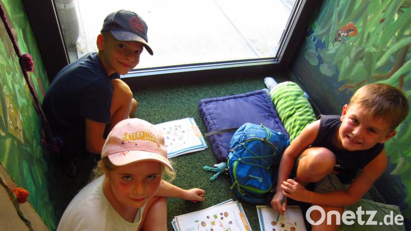 Alle Gruppen lösten die gefundenen Rätsel ohne Probleme. Bild: adj