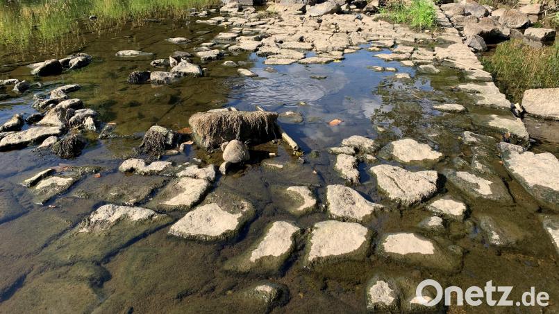 Nicht nur der Flutkanal in Weiden führt als Folge der Trockenheit der vergangenen Wochen wenig Wasser. Auch Quellen versiegen. „Wasser sparen“ lautet für alle die Devise. Bild: Gabi Schönberger