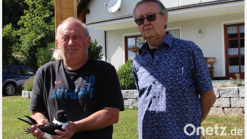 Leonhard Renner (links) erhielt eine Bestnote für seinen Mährischen Strasser. Vorsitzender Joachim Hagen (rechts) dankte Renner, dass er die Ausstellung in seinem Anwesen ermöglichte. Bild: ds