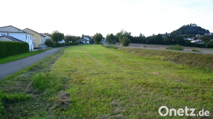 Die Grünfläche wird als neue Baugebiet &quot;Weidener Straße&quot; ausgewiesen. Die Bewohner der Häuser haben einen ungestörten Blick auf die Bergkapelle (rechts hinten). Jetzt stehen auch die Quadratmeter-Preise fest. Bild: bey
