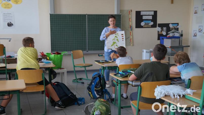 An der Oberviechtacher Doktor-Eisenbarth-Grundschule gehört die „Forscherzeit“ zum Angebot der Ganztagsbetreuung, im Bild mit Jeanette Ring. Archivbild: wel