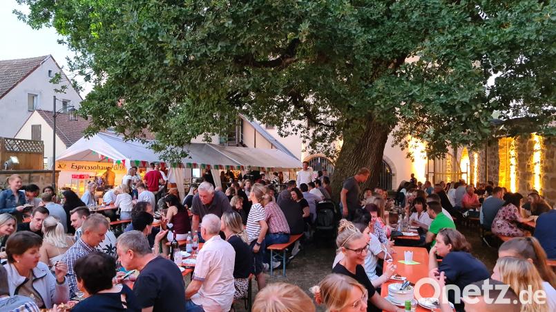 Mehrere hundert Gäste besuchten die Italienische Nacht der SV Grafenwöhr im Stadtpark. Bild: sne
